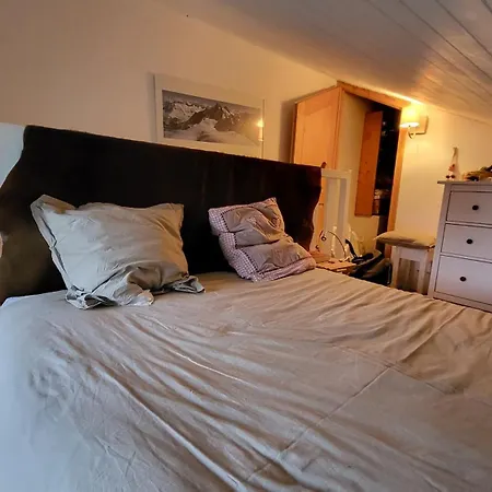 B21 Balcon De Venosc - 4 Pers 莱德萨阿尔卑斯